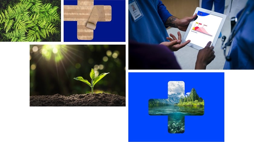 Five image examples to describe additional image interpretations: fern, a wrapped plus, tablet with hands, growing plant and a nature image masked by the plus