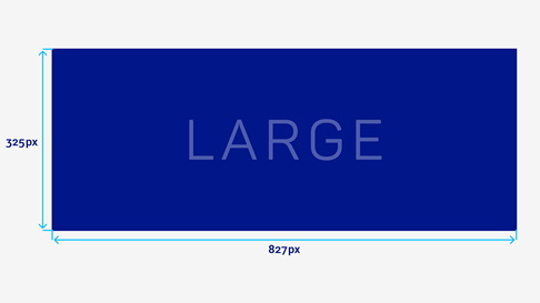 Schematic representation of the large signature image with the dimensions 827 x 325 pixels. 