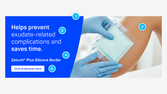 Layout example for the large signature image, showing mandatory and optional elements.