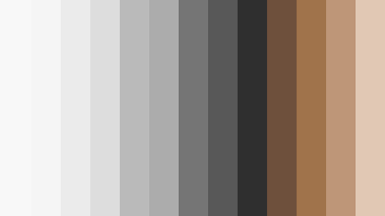 A color palette showing the  secondary colors available for illustrations.