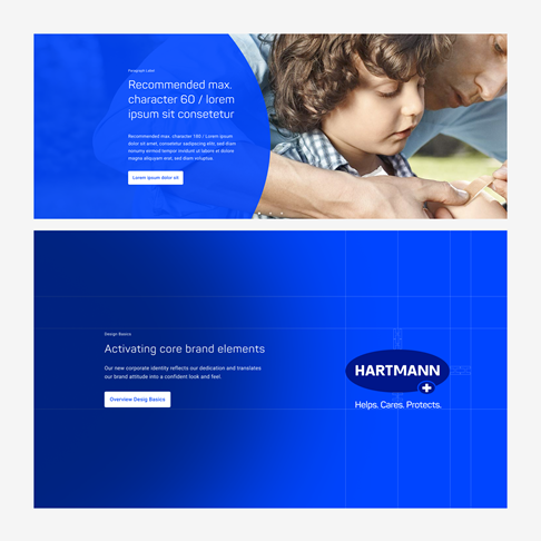 Example of how blue is used as branding color on HARTMANN websites.